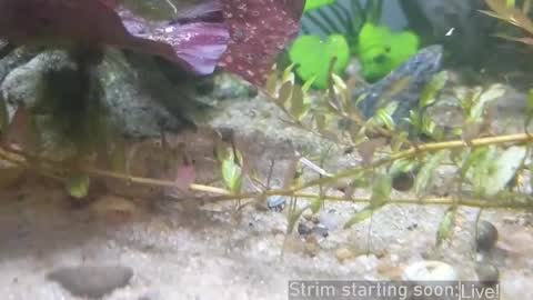 Booker Baxton online show from March 11, 3:14 am