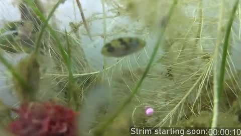 Booker Baxton online show from September 18, 3:10 am