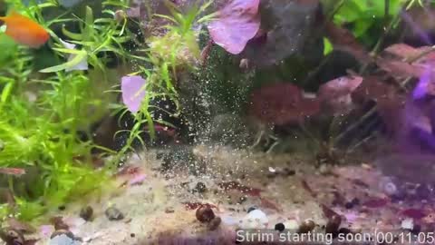 Booker Baxton online show from April 8, 2:58 am