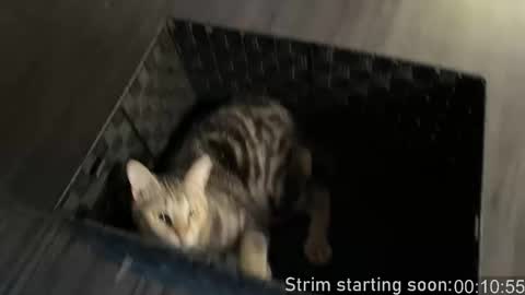 Booker Baxton online show from January 7, 3:55 am