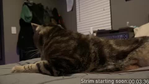 Booker Baxton online show from January 10, 4:07 am