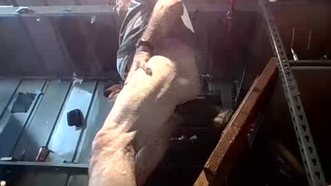 Bothways619 online show from April 19, 1:28 am