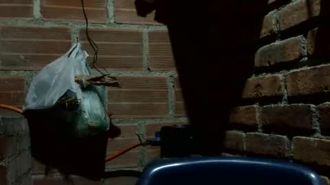 Boy online show from October 7, 2:51 am