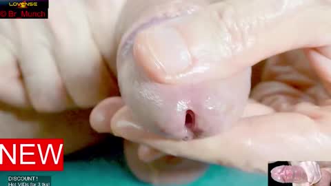 Baron online show from September 16, 6:27 am