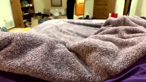 brandondot online show from December 16, 7:26 am