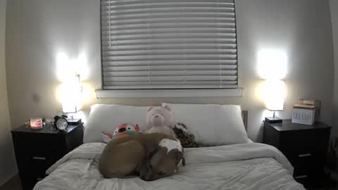 Bridget Black online show from June 20, 1:34 am