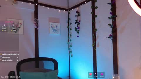 Brie  Ill be away November 2829 and 30. See u on Sunday for more fun online show from February 25, 8:32 pm