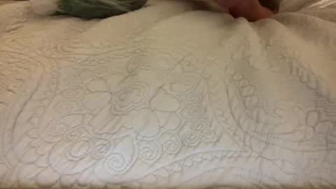 brittany_simpson online show from November 10, 4:37 am