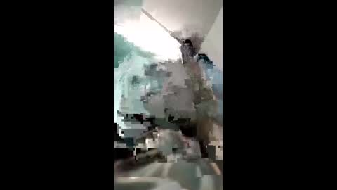 Brobator-gator online show from January 16, 8:45 am