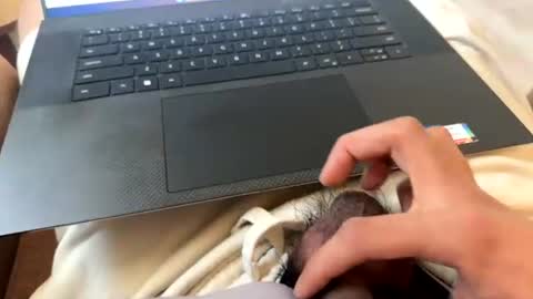 brownboyli online show from July 17, 6:32 pm