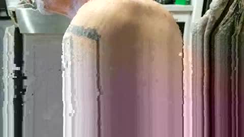 Steve... aka SkinnieDippin aka TimberTramp online show from February 23, 3:03 pm