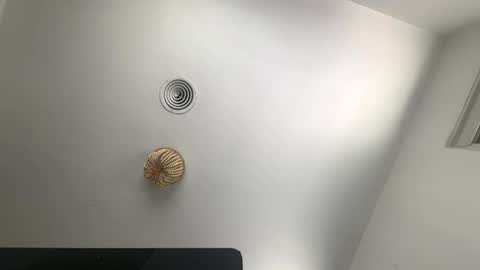 bryjybxxx online show from February 23, 6:43 pm