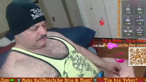 Snapshot of bullmusclejoe chatting on December 14, 1:27 am BullMuscleJoe online show from December 14, 1:27 am