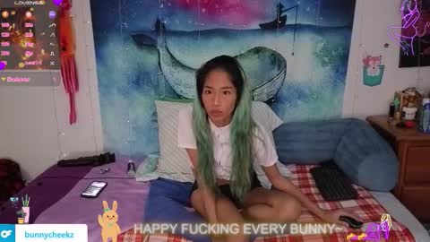 Tokki  bunny  online show from December 3, 9:21 am