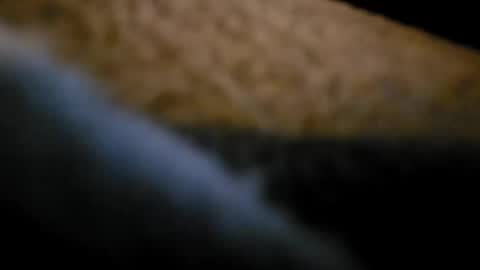 bunnynclyde8181 online show from September 14, 12:39 pm