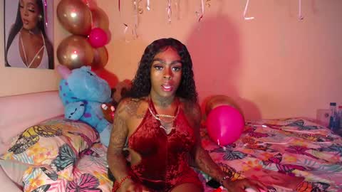 butterfly_rouse online show from November 17, 8:11 pm