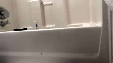 byrd2024 online show from February 15, 10:55 am