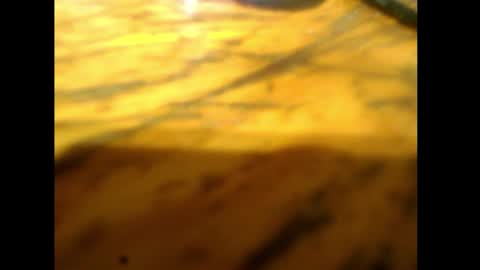 bzxxbzh online show from February 15, 4:17 pm