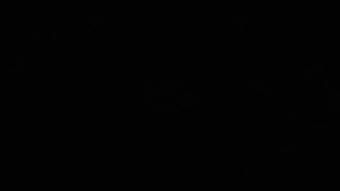 Charly online show from April 8, 12:52 pm