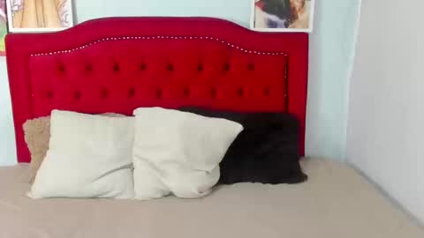 Camelia online show from January 14, 9:51 pm