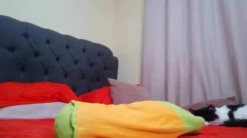 Camila Browm online show from February 9, 9:26 am