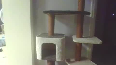 cammyman6900 online show from November 20, 4:33 am