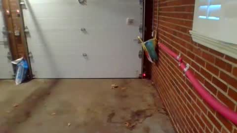 Snapshot of cammyman6900 chatting on December 9, 1:34 pm cammyman6900 online show from December 9, 1:34 pm