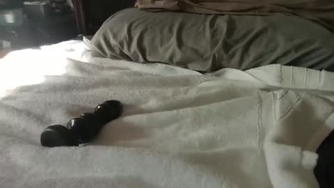 CanadianBoy88 online show from January 27, 7:24 pm