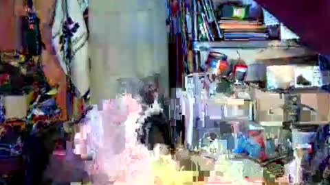 canoelicker69 online show from October 4, 8:17 pm