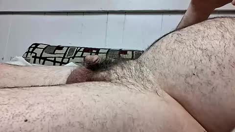carney1133 online show from April 8, 5:54 am