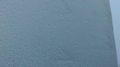 carolina_zabala_19 online show from February 4, 8:24 pm