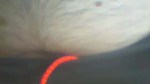 castells online show from September 22, 4:11 pm