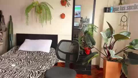 Cataina Lince online show from September 16, 6:33 pm