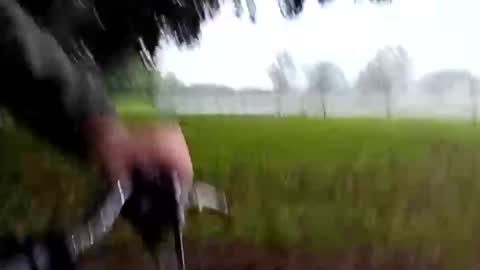 cb291180 online show from March 11, 7:57 am