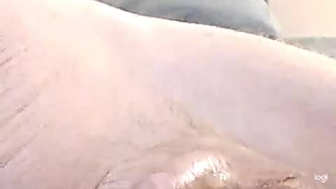 cfnmkinky28 online show from December 17, 9:07 am