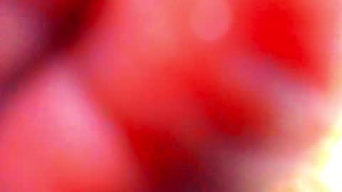 Kenji online show from November 29, 1:57 am