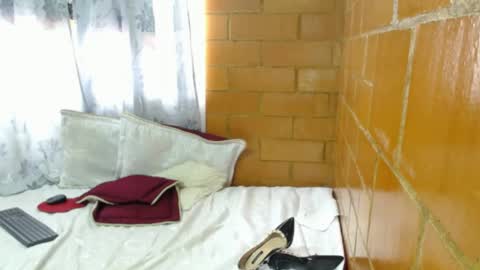 Charlotte online show from April 11, 2:10 pm