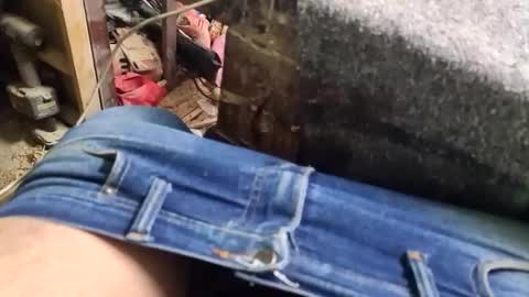 Parcero online show from October 26, 3:12 pm