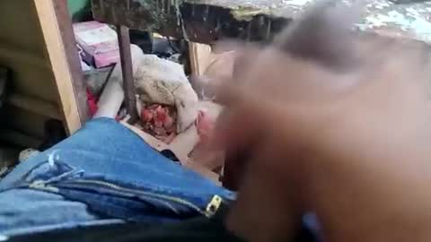 Parcero online show from September 9, 1:33 pm