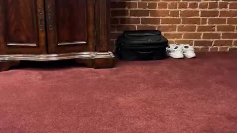 Snapshot of chasemike93 chatting on November 2, 6:57 am chasemike93 online show from November 2, 6:57 am