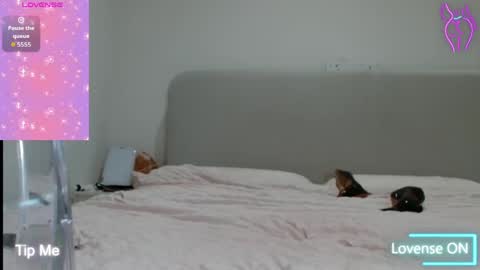 ChelseaBlonde online show from February 27, 9:29 pm