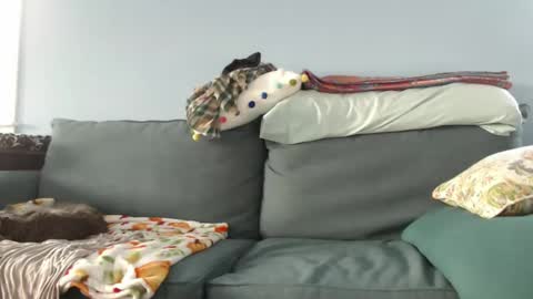 Snapshot of chelseasentra1 chatting on December 27, 7:35 pm Chelsea online show from December 27, 7:35 pm