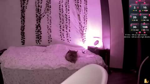 cherry_elfcat online show from October 2, 1:54 pm