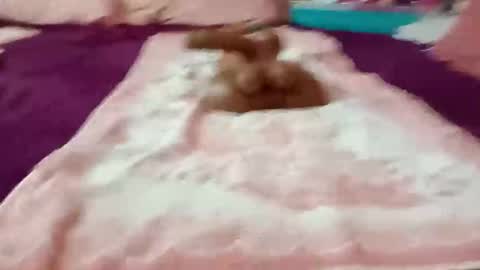 Cheryl6Fox online show from October 24, 2:34 am