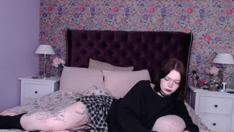 amelia online show from December 24, 9:17 am