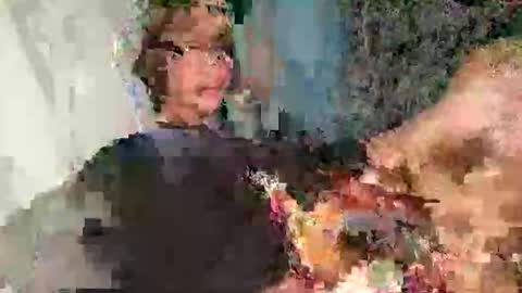 Addams online show from April 23, 4:08 pm