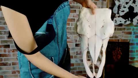 Bella online show from September 17, 5:11 am