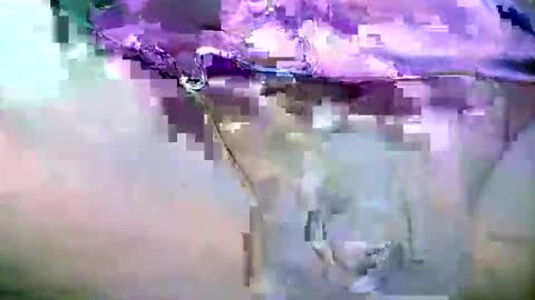 chinny_fuckdoll online show from January 15, 9:40 am