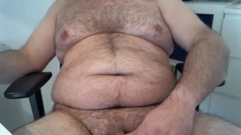 Chubby Bear BY online show from January 19, 9:30 am