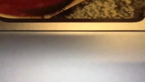 Carlee  carleegracexxx online show from April 5, 5:37 am